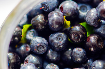Wild berries