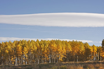 Fototapeta premium Mount Sneffels Range, Colorado