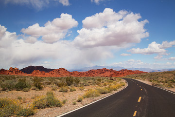 Road in a desert