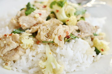 stir fried pork with chillies basil leaves and steam rice