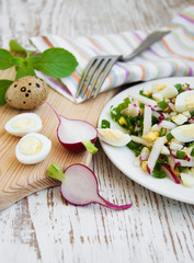 Spring salad with radishes