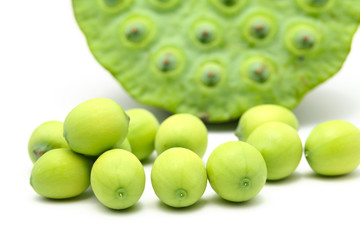 Fresh lotus seeds and pod