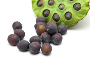 Fresh lotus seeds and pod