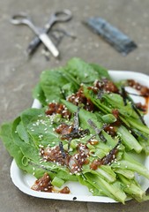 green salad with japonic sause