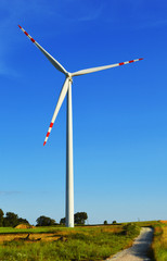 Wind turbines farm. Windmill