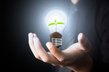 Light Bulb with sprout inside