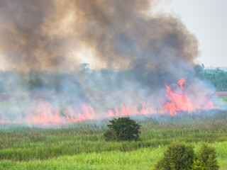 Burned fields, red flames, black smoke, incomplete combustion.