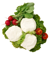 Formaggio fresco, stracchino