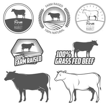 Set of premium beef labels, badges and design elements