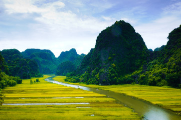 Rice field and river, NinhBinh, Vietnam