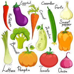funny vegetable cartoon isolated