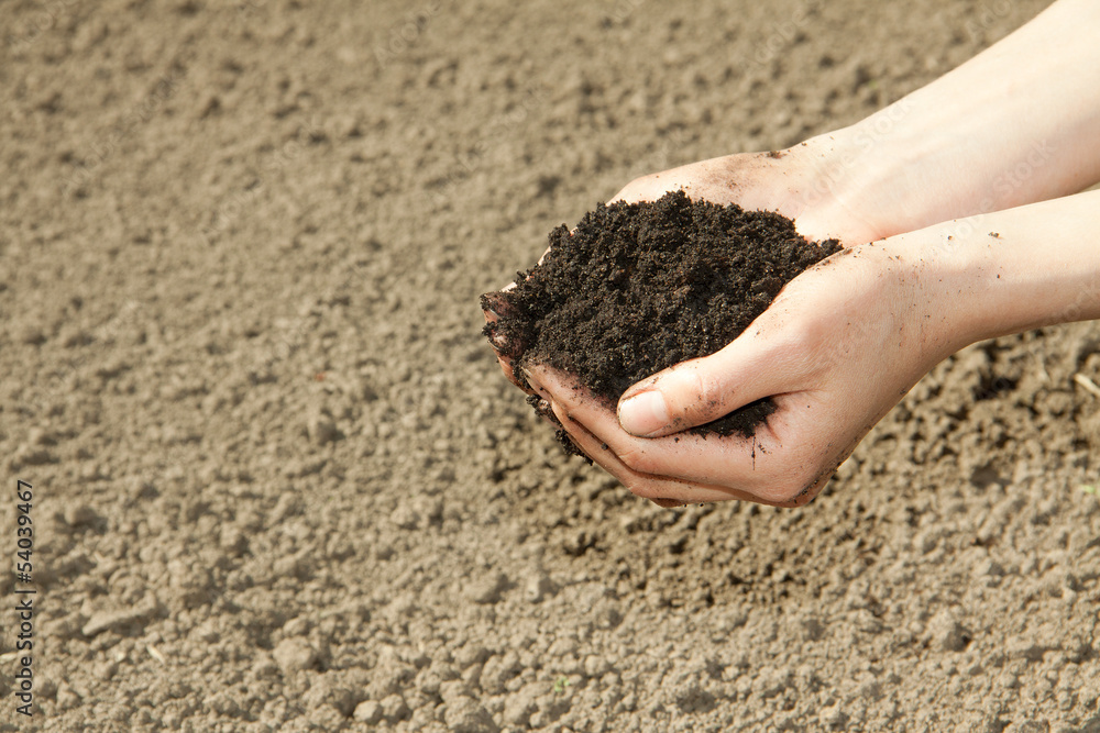 Wall mural hands with black soil