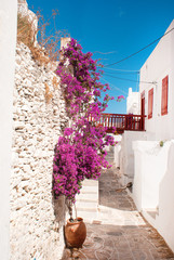 Traditional greek alley on Sifnos island, Greece - 54040210