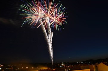 Fototapeta premium Firework