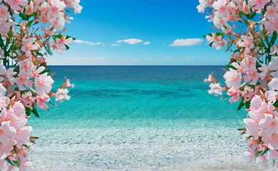 flowers and sea
