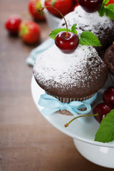 fresh chocolate muffins