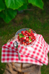  Woodland strawberry with whipped cream