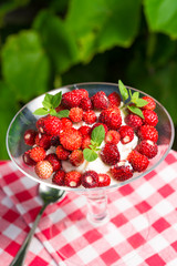  Woodland strawberry with whipped cream