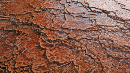 abstract pattern of thermal pool in the geyser basins
