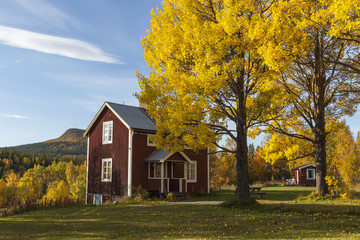 Fototapeta na wymiar Stara chata w kolorach jesieni