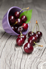 Fresh and tasty cherries