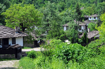 Closeup Image of Bozhentsi Village