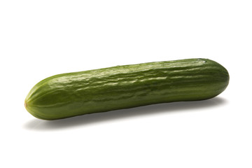 Cucumber
