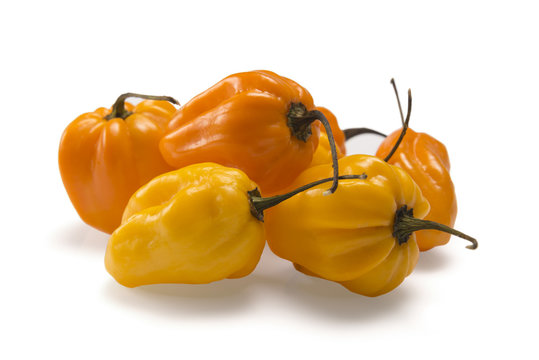 Yellow Habanero Peppers