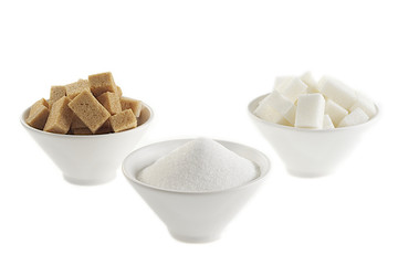 Alimentation - Le sucre