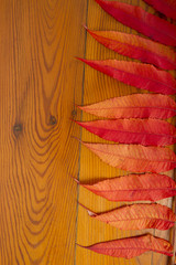 The wooden surface with autumn leaves