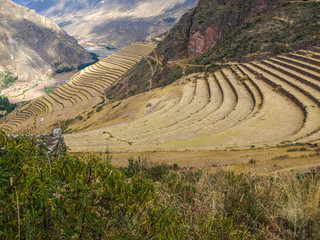 Terraces of Pisac