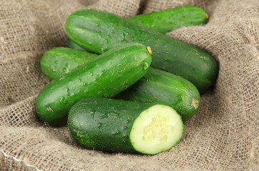 Tasty green cucumbers on sackcloth background