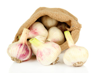 Fresh garlic in sackcloth bag, isolated on white