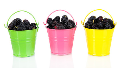 Fototapeta na wymiar Ripe mulberries in buckets isolated on white