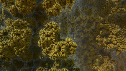 3D fractal abstract background with an organic structure © 3000ad