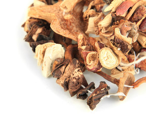 Dried mushrooms on string isolated on white