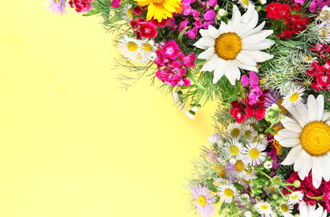 Beautiful bright flowers on yellow background