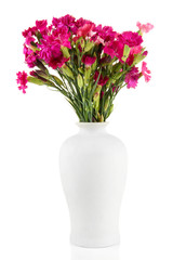 Bouquet of carnations in vase, isolated on white