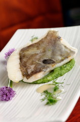 Fine dining, John Dory fish fillet on spinach puree