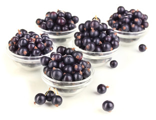 Fresh black currant isolated on white