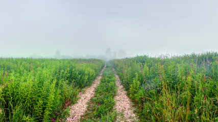 Rural gravel road at foggy morning