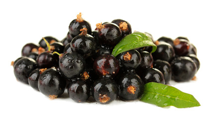 Black currant isolated on white