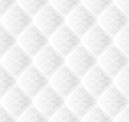 white background seamless