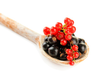 Red and black currant in wooden spoon isolated on white