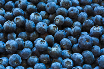 blueberries background