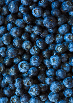 blueberries background