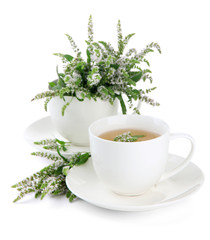 Cup of herbal tea with fresh mint flowers isolated on white