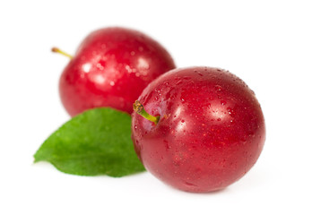 ripe plums close-up