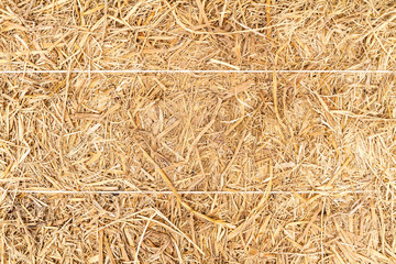 detailed stack of hay