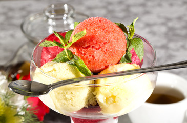 sorbet